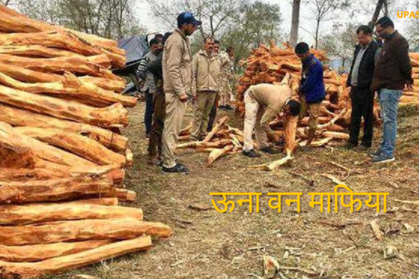 una wood cut - ऊना वन माफिया